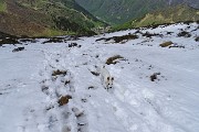 24 Neve morbida in scioglimento